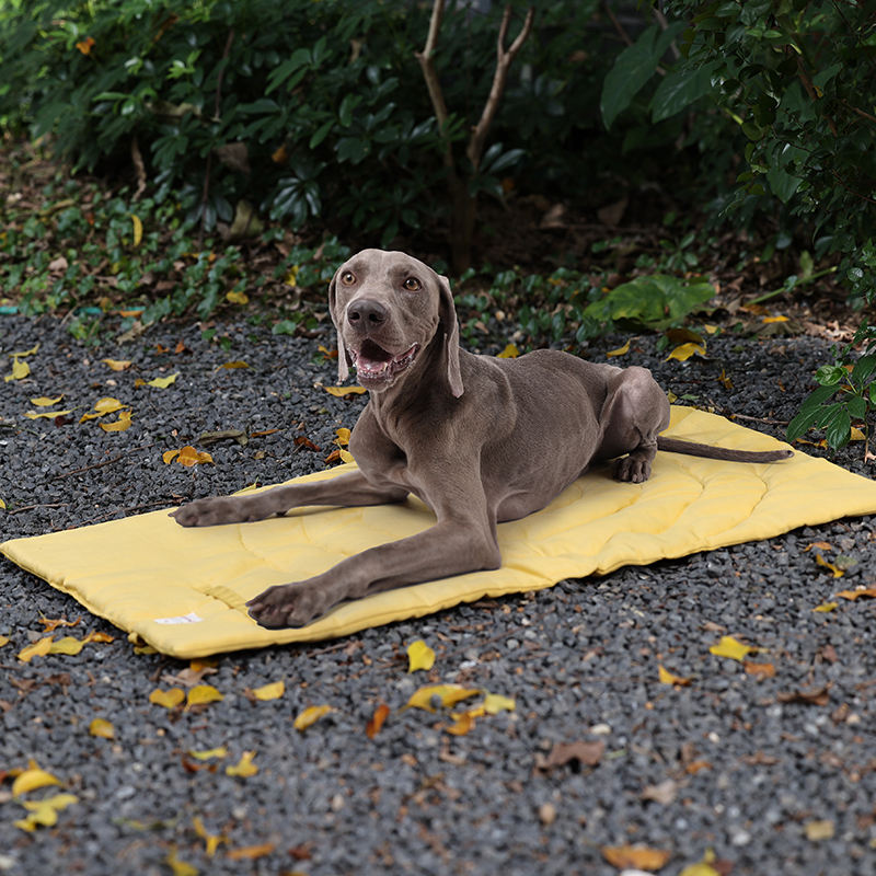 Przenośne mata dla zwierząt do – Outdoor Rug Waterproof recenzja i cena